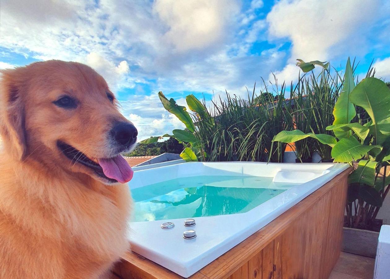 Vila Pitangueira - Apto Laranja - No Centro De Serra Grande Com Piscina, Jacuzzi, Internet Veloz Εξωτερικό φωτογραφία